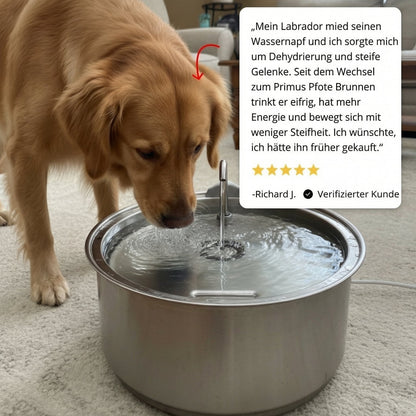PrimusPfote™  Trinkbrunnen